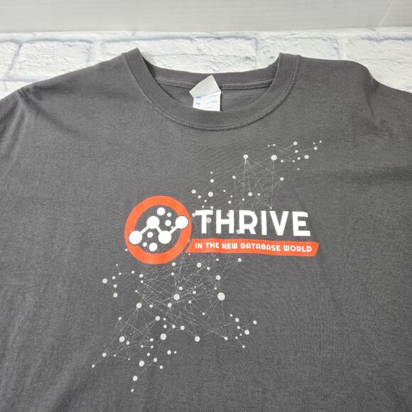 Quest Thrive In the New Database World T-shirt Graphic Gray size XL ISSUES - Picture 5 of 13